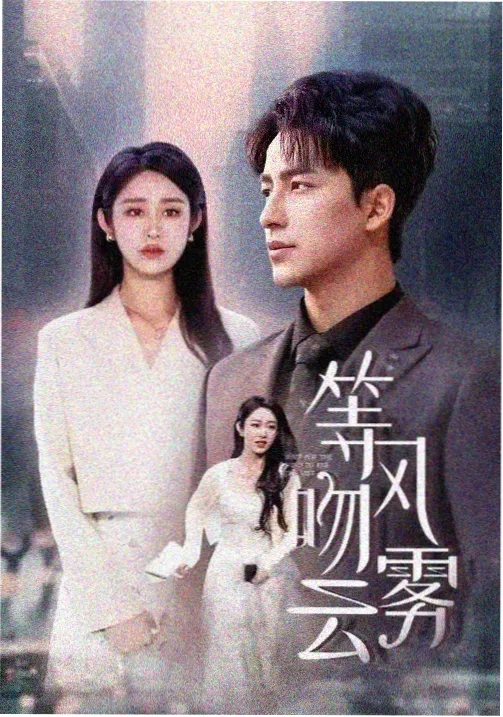 第二次日落热播剧集海报